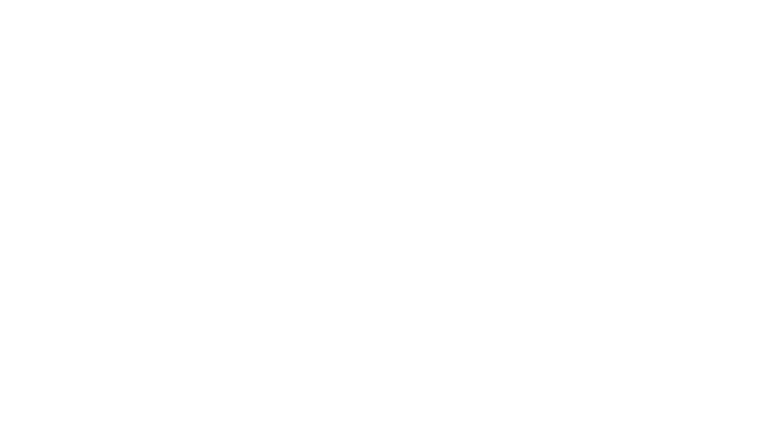 AYSE DEMIR